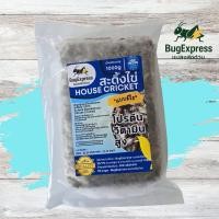 ราคา สะดิ้งไข่แช่แข็ง 1000​ กรัม ยี่ห้อแมลงส่งด่วน ต้มสุกแล้วแช่แข็ง ไม่ใส่เกลือ (43658797451)