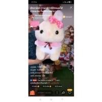 ราคา ตุ๊กตาของพี่ปุ๊กก้าาาา (15331979074)