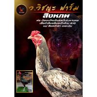 ราคา ไข่ไก่ชน ลูกของน้องเเท้ๆเยียร์สนั่น (52908025469)