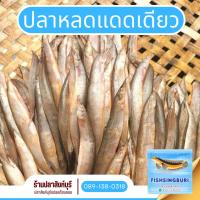 ราคา ปลาหลดแดดเดียวขนาด 1กิโลกรัม (9216496237)