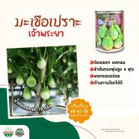 ราคา เมล็ดมะเขือเปราะ เจ้าพระยา eggplant ตราภูเขาทอง ขนาด50กรัมเมล็ดมะเขือเปราะเจ้าพระยา เมล็ดมะเขือ เมล็ดพันธุ์มะเขือ (9193939252)