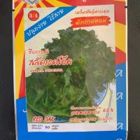 ราคา เมล็ดพันธุ์ผักกาดหอมเรดโอ๊คเมล็ดพันธุ์ผักกาดหอมเรดโอ๊ค (5017071829)