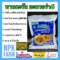 ราคา แปซิฟิค ทานตะวัน อะควอร่า 6 [ ขนาด 1 กก ]หมดอายุ 15/08/69ดอกใหญ่ สีเหลือง ทนแล้ง 1 ถุง ปลูกได้ 1 ไร่ (29511959141)