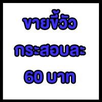 ราคา ป้ายใวนิล ขายขี้วัว (25764701212)