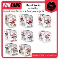 ราคา Royal Canin Pouch อาหารเปียก สำหรับแมวโต - แมวสูงวัย (45306325067)