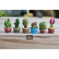 ราคา [MC319] ตุ๊กตุ่นจิ๋ว ต้นกระบองเพชร 9 ต้น (1 ต้น ราคา 20 บาท) (1796750860)