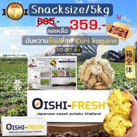 ราคา Oishi-Fresh ยกลัง 5 กิโลกรัม Snack มันหวานญี่ปุ่นสายพันธุ์ Kuri Kogane ปลูกไทย เนื้อเหลือง หวาน อร่อย.จัดส่ง 24 ชม. (29211305240)
