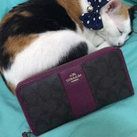 ราคา กระเป๋าสตางค์ coach (800465647)