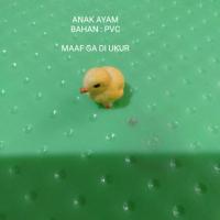 ราคา ลูกไก่สัตว์จิ๋ว***** (49206837826)