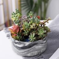 ราคา กระถางเซรามิค ขนาด "13.5×6.2 cm" กระถางเซรามิค กระถางต้นไม้ ไม้มงคล ไม้ฟองอากาศ เซรามิค​ (6949259159)