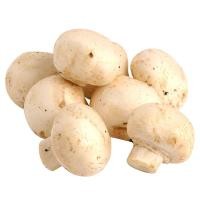 ราคา เห็ดแชมปิญอง 100กรัม Champignon Mushroom 100g. [หมายเลขบาร์โค้ด 0000020925994 ] สินค้าคุณภาพดี คัดสรรอย่างตั้งใจ (56703158293)