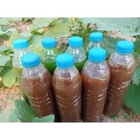 ราคา จุลินทรีย์สังเคราะห์แสง (8825751186)