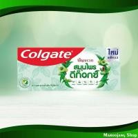 ราคา ยาสีฟัน ปัญจเวท สมุนไพร ดีท็อกซ์ คอลเกต 120 กรัม แพ็คคู่ Panchaveda Herbal Detox Toothpaste Colgate (18985512092)