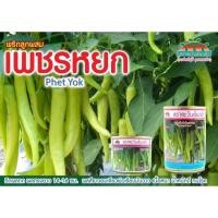 ราคา เมล็ดพันธุ์พริกเพชรหยก พริกหนุ่มขาว พริกหยวกพริกยำขาว (24175585551)