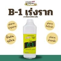 ราคา [ เร่งราก ] B-1 บีวัน วิตามิน เร่งราก 1 ลิตร (24879072880)