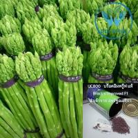 ราคา เมล็ดหน่อไม้ฝรั่ง หน่อไม้ฝรั่ง Asparagus U800 F1 ***Emerald Seed Co.ltd USA*** (18206447889)