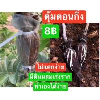 ราคา ตุ้มตอนกิ่งพันธุ์8บาทพร้อมใช้ชุดละ 150บาท20ชิ้นแถมเคเบิ้ลไทร์ใช้ง่ายทำเองได้ #ตุ้มตอนกิ่ง (5479837706)