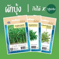 ราคา เมล็ดผัก เมล็ดผักบุ้ง ผักบุ้งจีนเรียวไผ่ ผักบุ้งจีน ผักบุ้งแก้ว ผักบุ้ง l เจียไต๋ เมล็ดพันธุ์ผัก ปลูกผัก (3438717880)