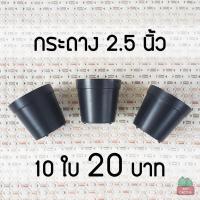 ราคา กระถางพลาสติก สีดำ กลม 2.5 นิ้ว 10 ใบ กระถางกระบองเพชร (กดซื้อ 1 = 10 ใบ) (9570337808)