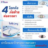 ราคา Luberry plus Eye Health (30 แคปซูล) ลูเบอร์รี่ พลัส บำรุงสายตา (45506969767)
