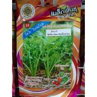 ราคา เมล็ดผักกาดเขียว พันธุ์ ใบสร้อย 10 แถม 1 เมล็ดผัก เมล็ดพันธุ์ ตรา สี่ทิศ 4ทิศ ผักกาดเขียวน้อย ผักเขียวน้อย ผักหิ่น (7015013793)