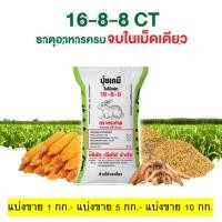 ราคา [แบ่งขาย] ปุ๋ยตรากระต่าย 16-8-8 เหมาะดินร่วนปนทรายหรือดินทรายที่มีธาตุโปรแตสเซี่ยมต่ำ (27688920144)