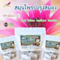 ราคา ชามัตถกะ บำรุงประสาทสมอง ความจำฟื้นดี สมองล้า ใช้กำลังสมองมาก (23376738683)