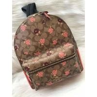 ราคา เป้Coachขนาดกลางสีน้ำตาล (6280167754)