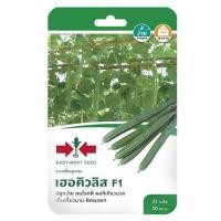 ราคา [พร้อมส่ง] HomeDoDee เมล็ดพันธุ์บวบเหลี่ยม F1 เฮอคิวลิส เมล็ด เมล็ดพันธุ์ เมล็ดพันธุ์พืช (11640904079)