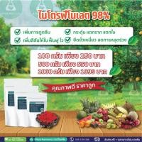 ราคา อโทนิคผง 98% Atonik ขนาด 500 กรัม (12339415025)