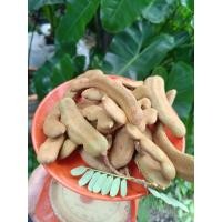 ราคา มะขามฝักอ่อน สำหรับตำ หรือทำน้ำพริกหรือเมนูอื่น สดพร้อมส่งทุกวันครับ#น้ำพริกมะขามอ่อน # ตำมะขามอ่อน (43014725869)