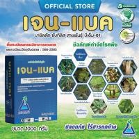ราคา เจน-แบค บาซิลลัส ซับทิลิส สายพันธุ์ BM-01 จาก ทีเอบี เชื้อบีเอส Bacillus subtilis ราน้ำค้าง ราแป้ง ใบจุด แอนแทรคโนส (18701880302)