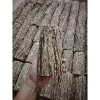 ราคา ShinmatoungTanakaทานาคา (27987831558)