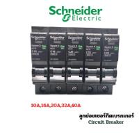 ราคา เซอร์กิตเบรกเกอร์schneider 10A,16A,20A,32A,40A 6ka circuit breaker square D ลูกย่อย (42456224457)