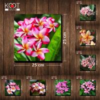 ราคา กรอบลอย ติดผนัง ภาพดอกไม้ ดอกลีลาวดี (ขนาด 25x25 ซม.) (3519356751)
