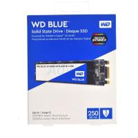 ราคา 250 GB SSD WD Blue 3D NAND M2 2280 (WDS250G2B0B) ฟรีจัดส่ง (1840251591)
