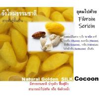 ราคา Golden Silk Cocoon รังไหม ธรรมชาติ สีเหลือง พันธุ์พื้นบ้าน รังไหมขัดหน้า รังไหมทำสบู่ (4140836663)
