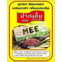 ราคา ติดดอก ผสมเกสร ติดผล ลูกดก ผลดก อินทผาลัม มะพร้าว พืชตระกูลปาล์ม ปาล์มน้ำมัน มีดอก ปาล์มโบ ขนาด30กรัม (16956765061)