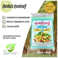 ราคา ทุ่งเศรษฐี ปุ๋ยเขียว ปุ๋ยเกล็ด 25 - 5 - 5 ขนาด 1 กิโลกรัม (11358869016)