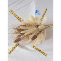 ราคา พร๊อพถ่ายรูป ( โทนสีธรรมชาติ ) ( 4 ชนิด หางกระต่าย ,หางกระรอก ,ข้าวบาเล่ห์ ,กระถินทุ่ง (23924239952)