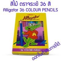 ราคา ราคาพิเศษ สีไม้ ดินสอสี จระเข้ Alligator 36 สี (11786334303)