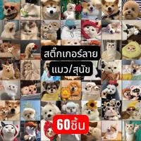 ราคา สติกเกอร์ลาย แมว/สุนัข (60 ชิ้น) กันน้ำ สําหรับติดตกแต่งกระเป๋าเดินทาง โทรศัพท์ #Z319-A (54503273430)