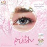 ราคา Look fresh gray คอนแทคเลนส์ (542610370)