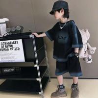 ราคา ชุดเซ็ตเด็กผู้ชายแขนสั้นไล่สีสไตล์ฮิปฮอป เสื้อยืด+กางเกงขาสั้น ลุคเท่ แฟชั่นเกาหลี (58106500273)