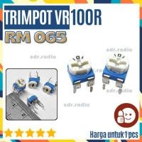 ราคา VR 065 100 โอห์ม 100R WH06-2 ระบบกันสะเทือนแบบแปรผัน rm065 rm-065 adj รหัส 101 (57157979462)