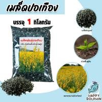 ราคา เมล็ดพันธุ์ปอเทือง บรรจุ 1กิโลกรัม เมล็ดปอเทือง เม็ดปอเทือง พันธุ์ปอเทือง เม็ดพันธุ์ปอเทือง ดอกปอเทือง ต้นปอเทือง (27465470743)