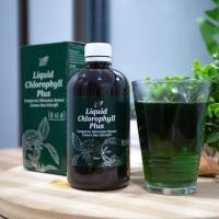 ราคา น้ำคลอโรฟิลล์​เข้มข้น ​คอสเวย์ ทานง่าย​​ -​ ​ Liquid​ Chlorophyll​ 500​ ​มล.​​ จากใบมัลเบอร์รี่​ (6132745460)