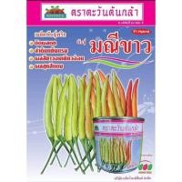 ราคา เมล็ดพันธุ์พริกมณีขาว(20กรัม)ผลยาว7-9เซน พริกยอดสน พริกกะเหรี่ยงเม็ดยาว (24635225736)