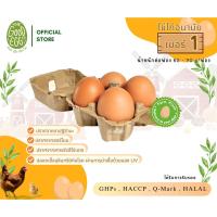 ราคา ไข่ไก่ The Good Egg กู๊ดเอ้ก 4 ฟอง ไข่ไก่ปลอดสาร ไข่ไก่อนามัย ไม่ใช้ยาปฏิชีวนะ ไม่ใช้ฮอร์โมน สดจากฟาร์ม ไข่ไก่ Cage Free (43368624598)
