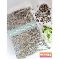 ราคา เมล็ดต้นอ่อนทานตะวัน (เมล็ดลายไทย) 1กิโลกรัม ของใหม่ปี 2564 อัตราการงอกสูง ( เมล็ดทานตะวัน ต้นอ่อนทานตะวัน) (8963797398)